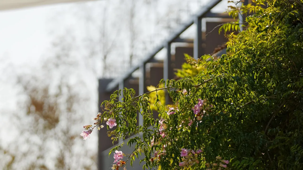 Vale do Gaio, Rural Boutique Hotel in Alentejo