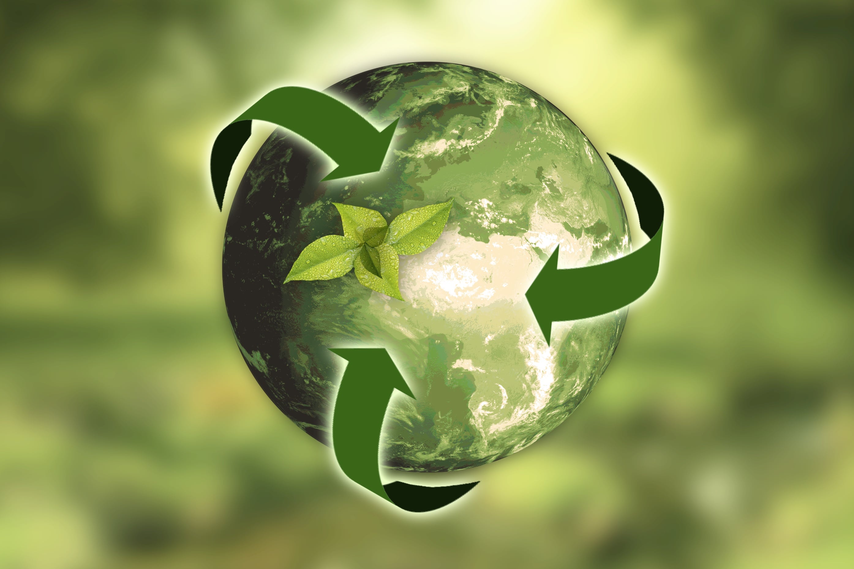 Sustainability at Vsystem: more than words