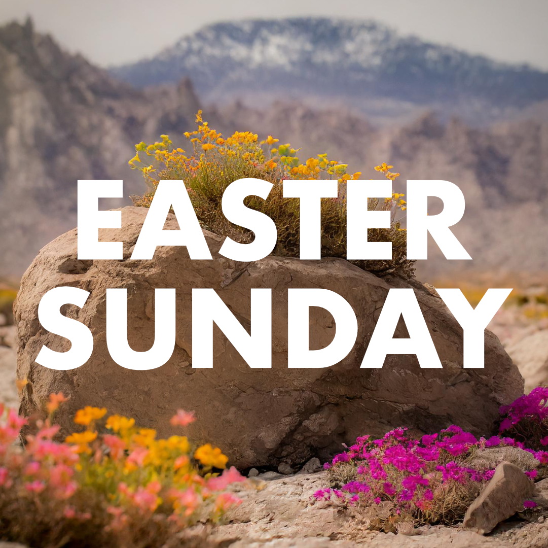 Volunteers for Neighbor Idaho