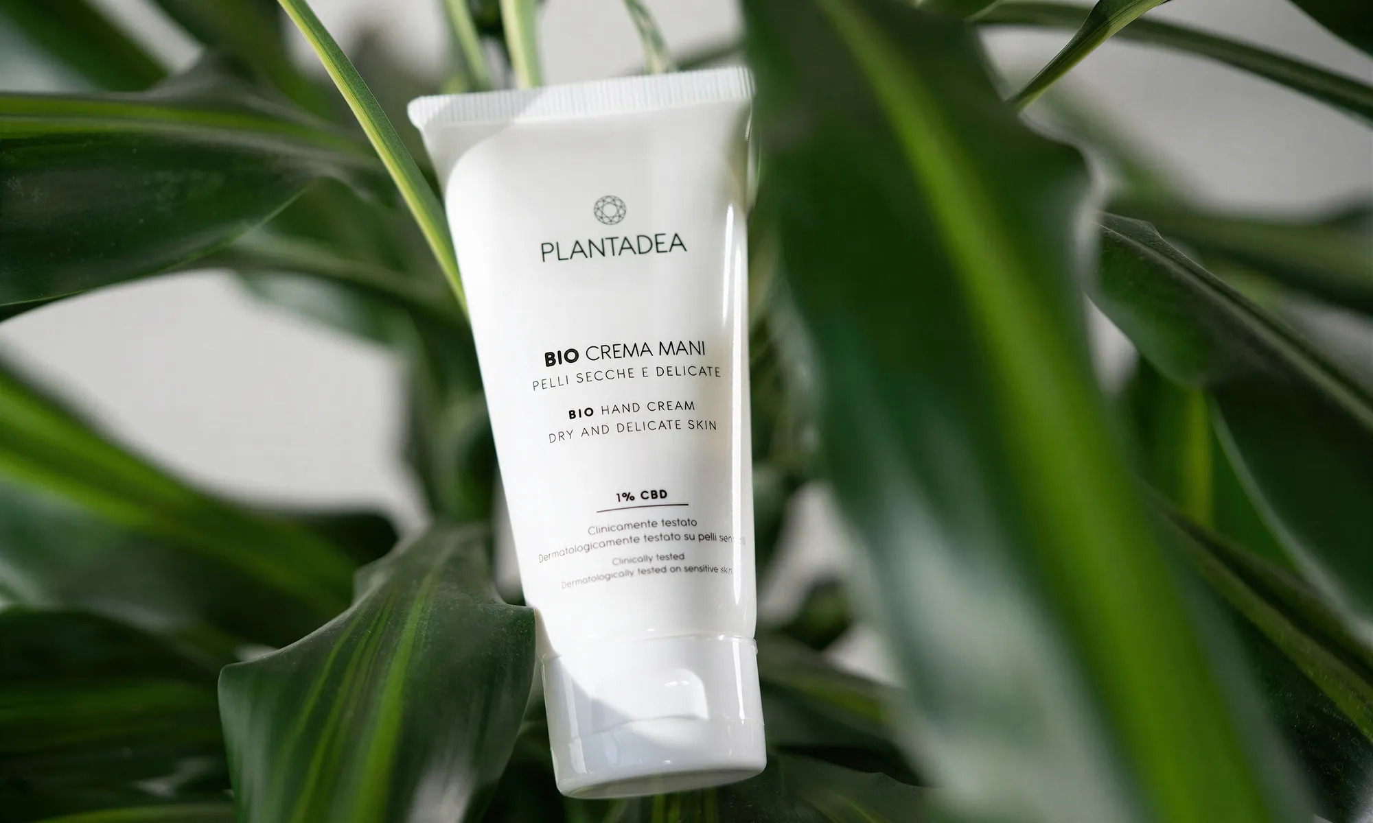 Tube of Plantadea BIO hand cream for dry and delicate skin surrounded by green leaves.