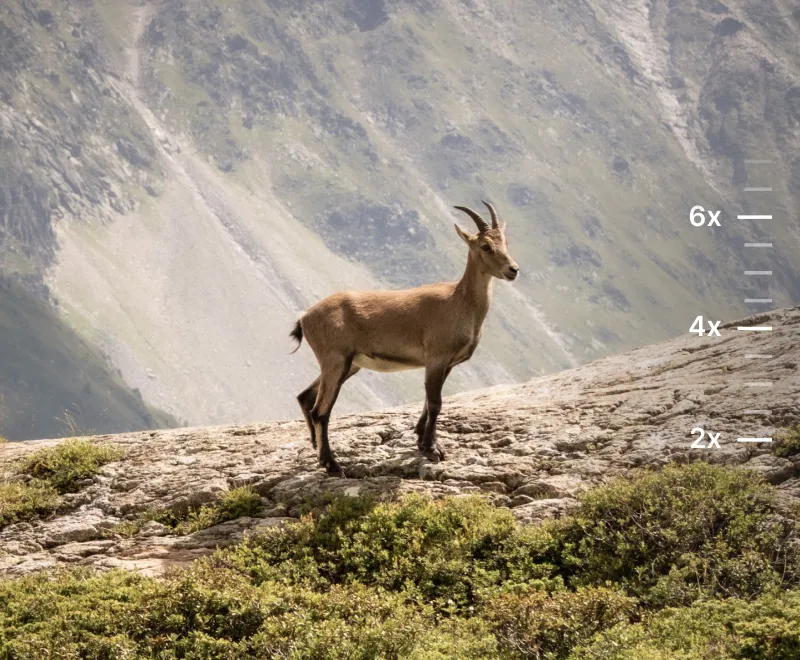 Topaz Photo AI enhancement for cropped and zoomed images