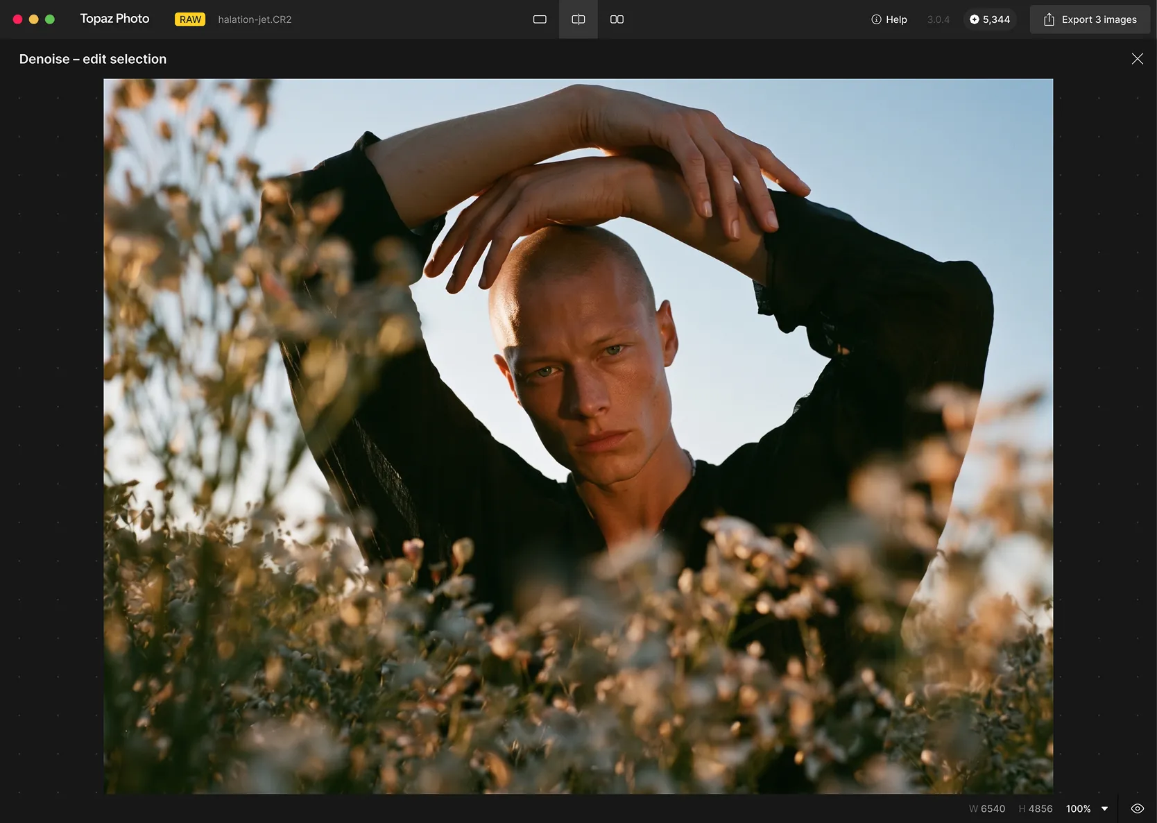 Topaz Photo application interface with AI image enhancement controls