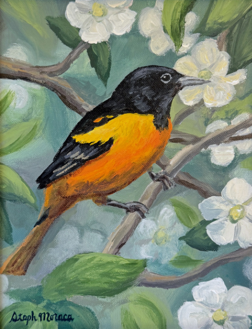 Oriole