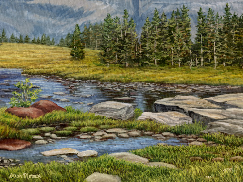 Alpine Pond and Meadow