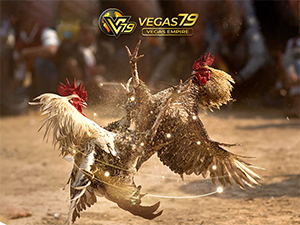 da ga vegas79.net 
