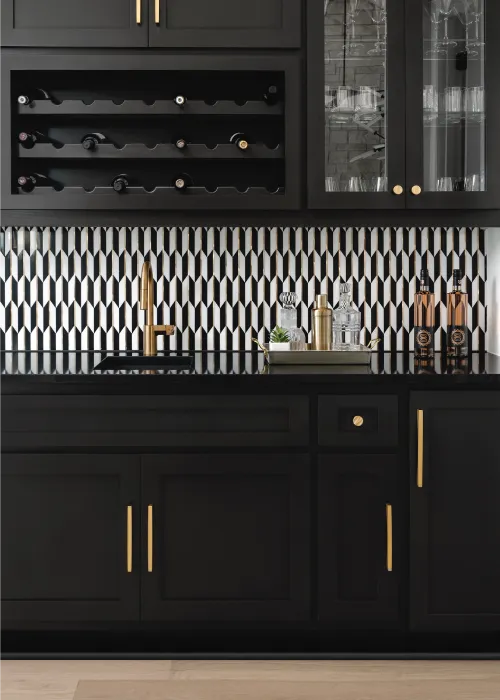 Wet bar with black cabinets, black and white tile, and built-in wine storage