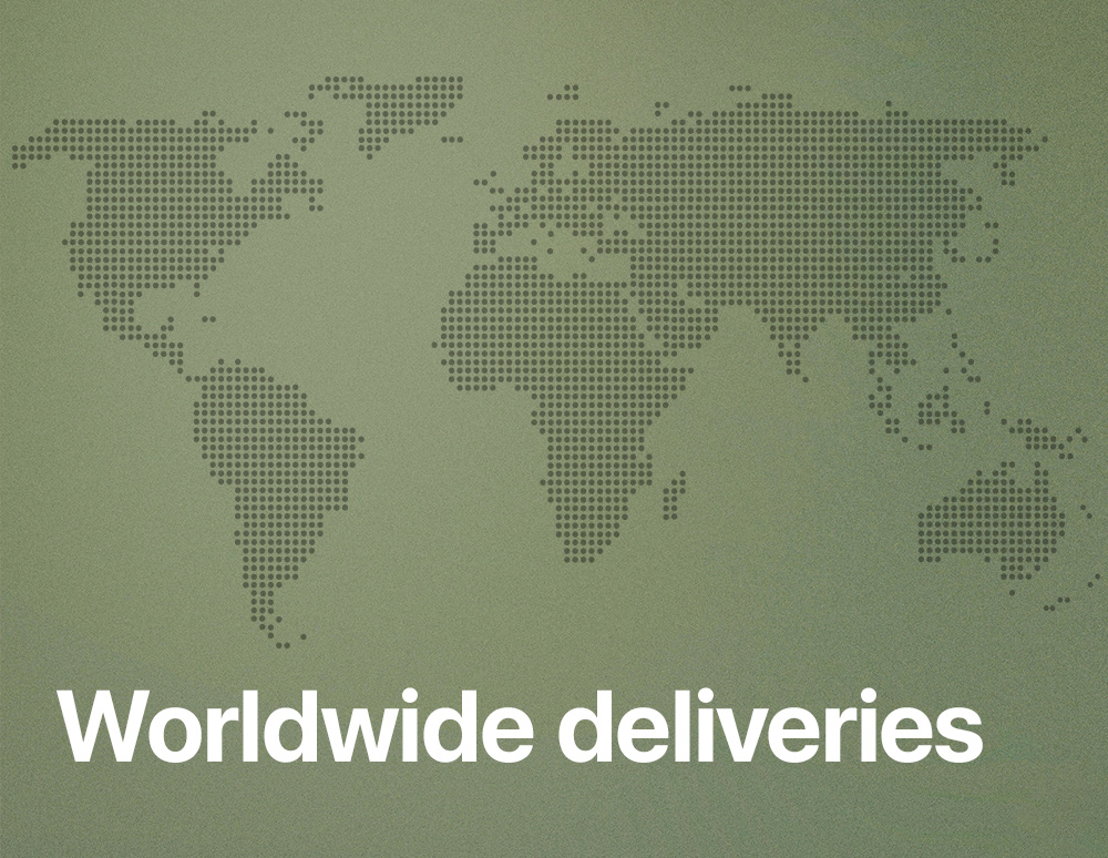 Dotted world map graphic with the text “Worldwide deliveries.”