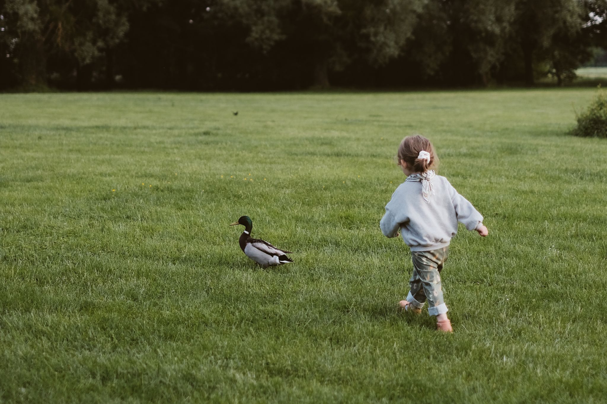 concept kids Maisons de Campagne