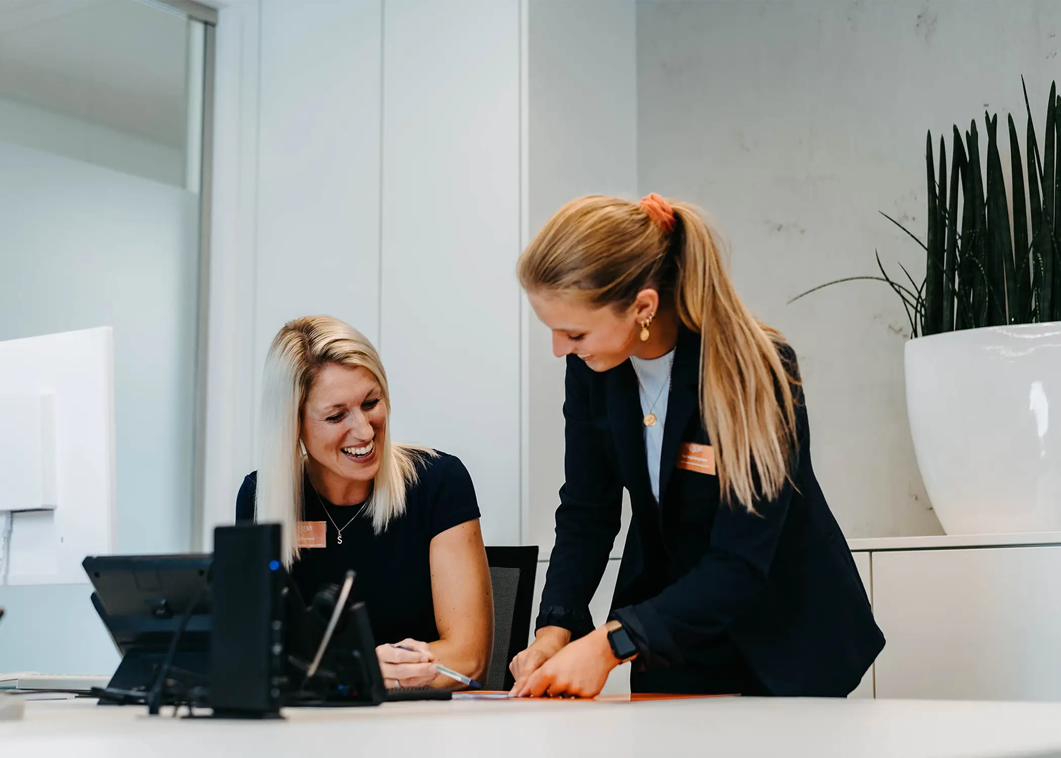 Paeßens Zahnwelten Website-Ausschnitt – Informationsarchitektur von Klein & Rose