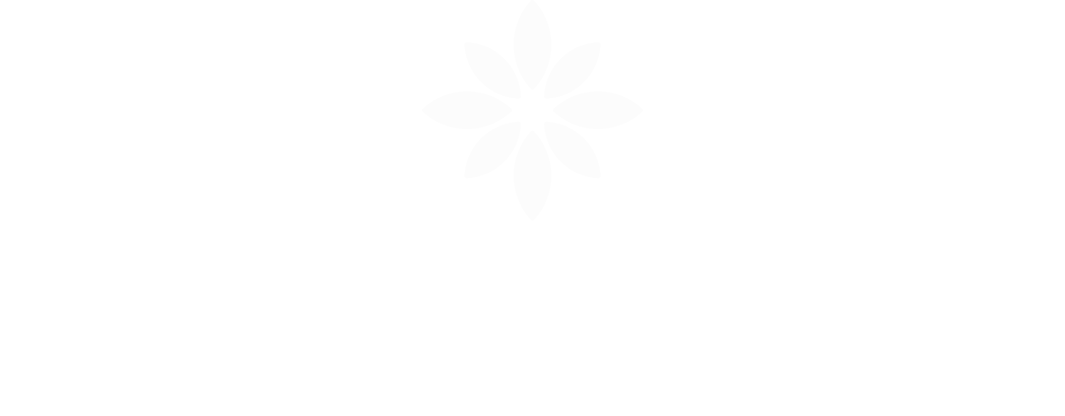 Amor Group – Kundenreferenz Klein & Rose Frankfurt