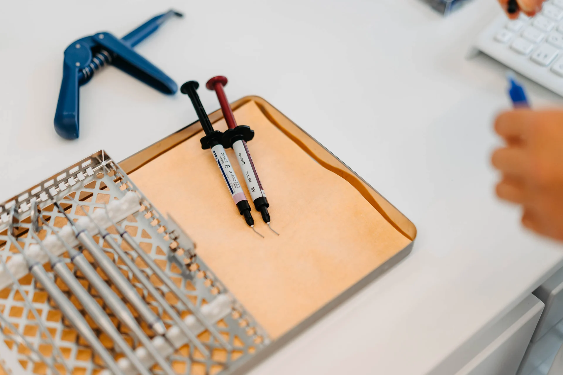 Professionelles Brandshooting Paeßens Zahnwelten – Kreativkonzept Klein & Rose