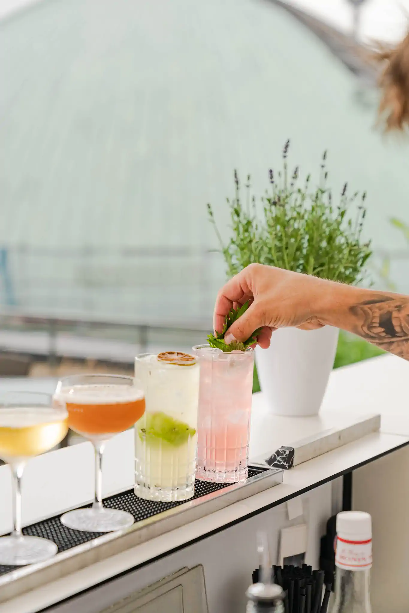 Barkeeper-Hand mit Tattoo garniert pinken Cocktail mit Minze – Hotel de Rome Berlin