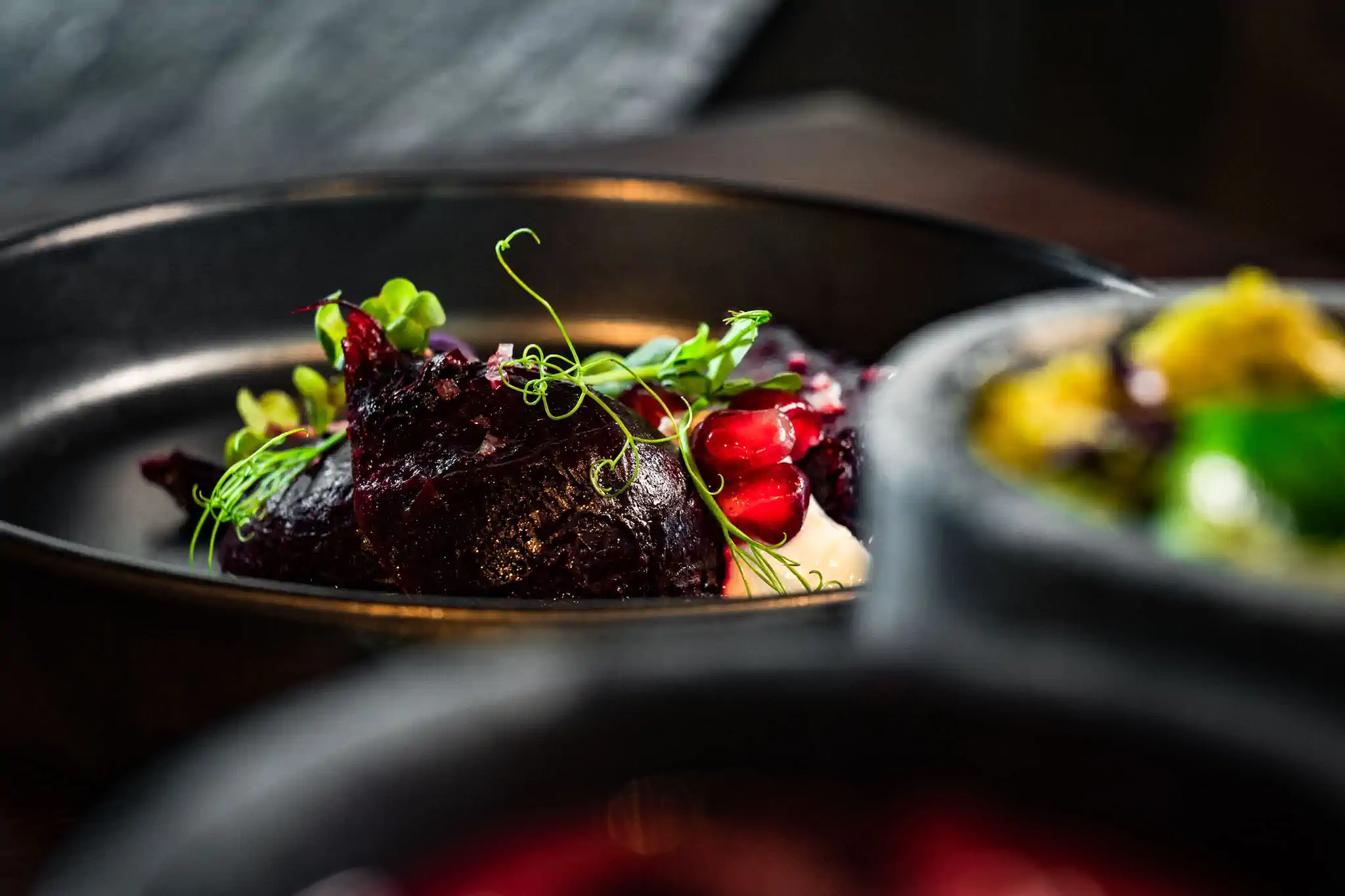 Rote-Bete-Gericht mit Granatapfel und Erbsentrieben in dunkler Schale – Cresco Foodshooting