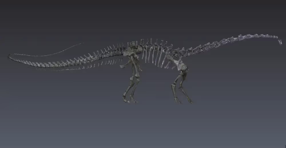 Screenshot of a 3D model of a sauropod skeleton.