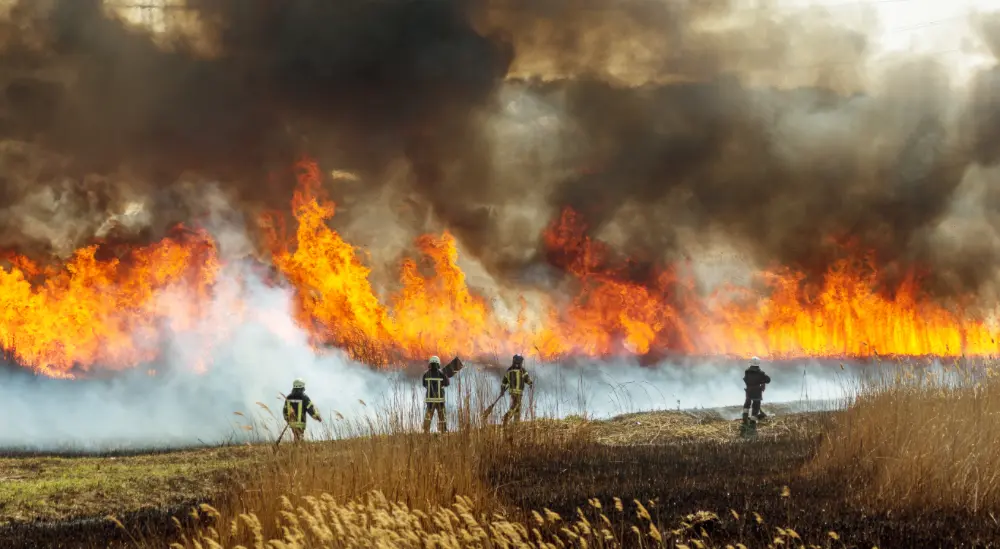 Firefighters fighting a wildfire.