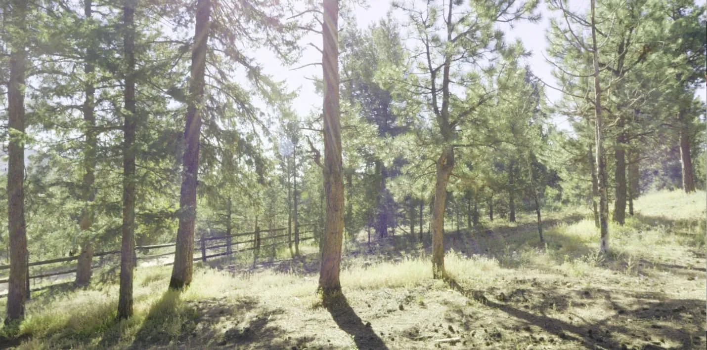 A field of trees that were scanned by GPRS for this project.