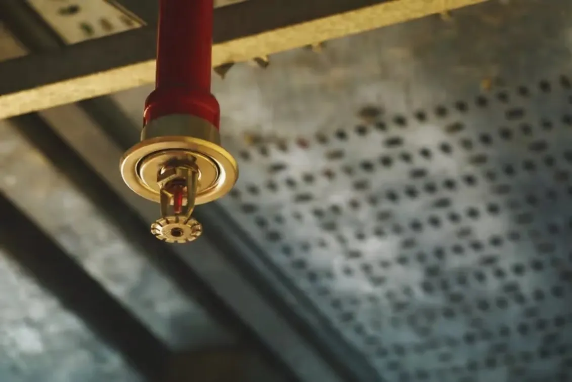 A fire suppression sprinkler, red piping into a gold-colored sprinkler, hanging from a metal ceiling. 