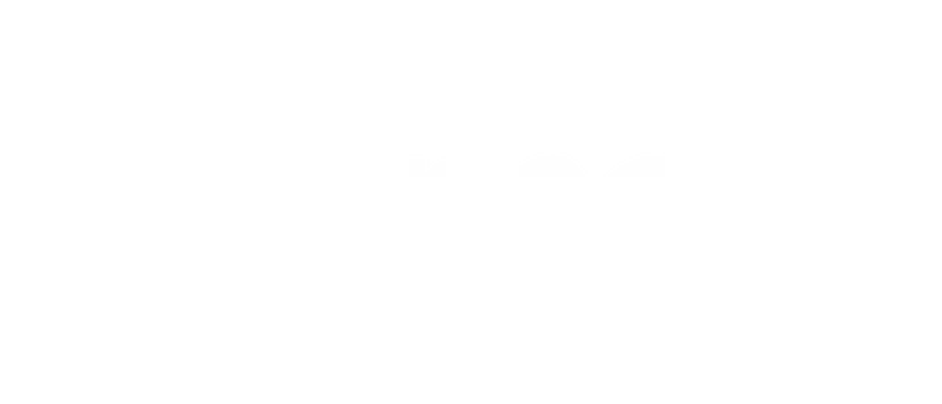 Turner Logo