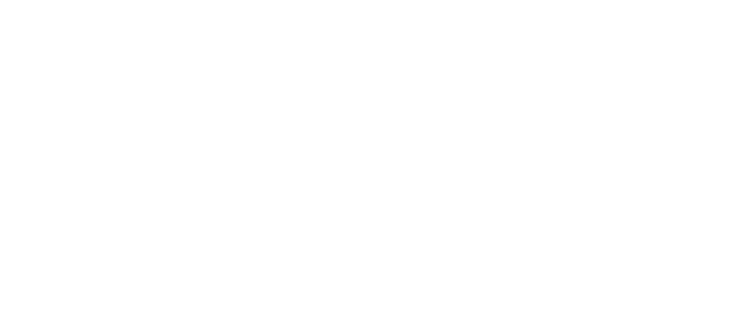 Brasfield & Gorrie Logo