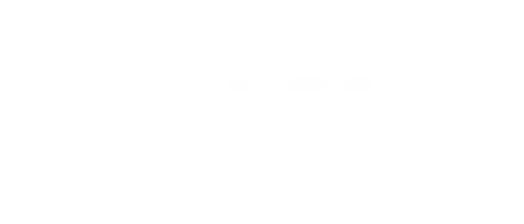 Turner Logo