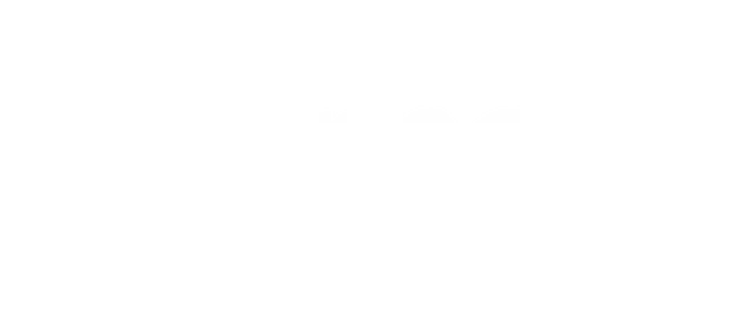 Turner Logo