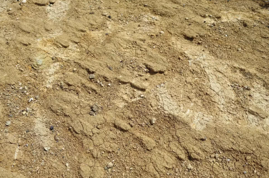 A clay-heavy slope awaits ground-penetrating radar and soil testing for construction to begin.