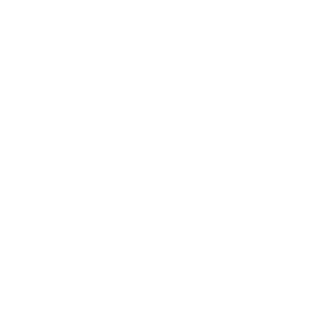 Twitter Logo