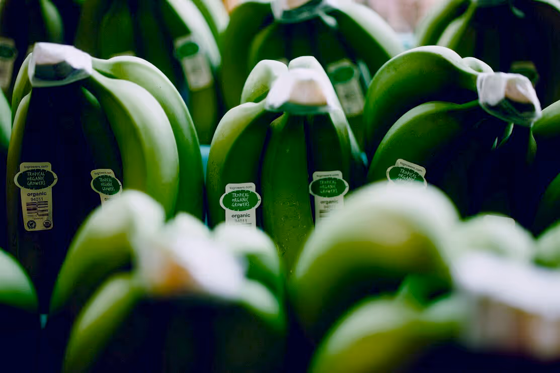 Tropical Organic Growers