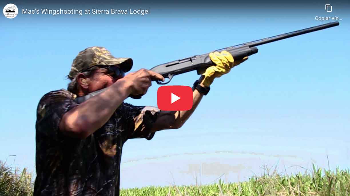 Dove Hunting in Argentina - Sierra Brava Lodge