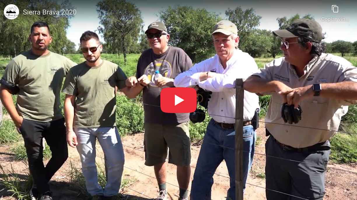 Dove Hunting in Argentina - Sierra Brava Lodge