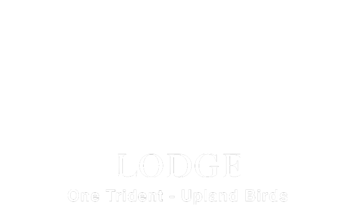 Beretta Trident Lodge