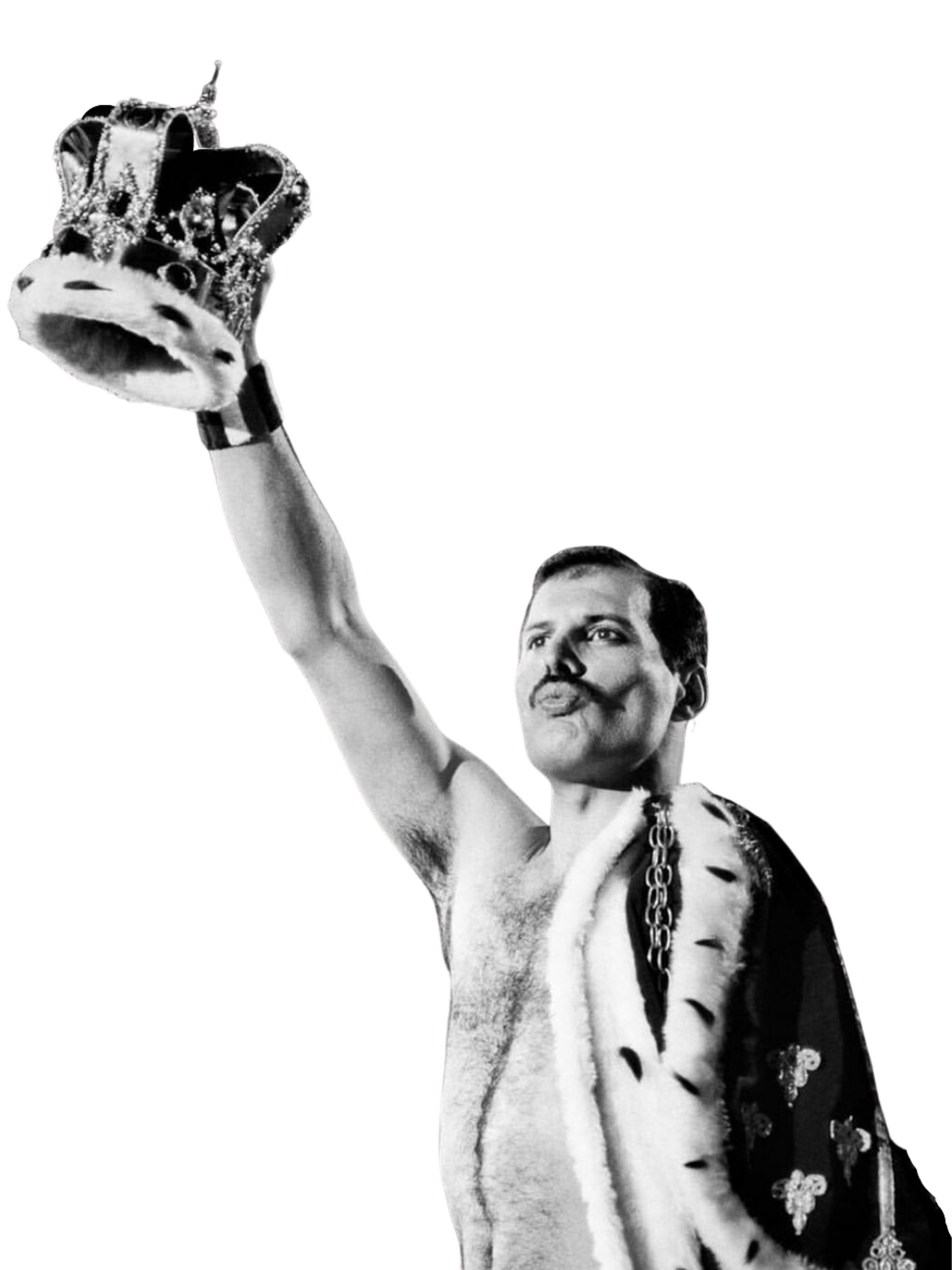 Brand Champion | SIFTR Marketing
