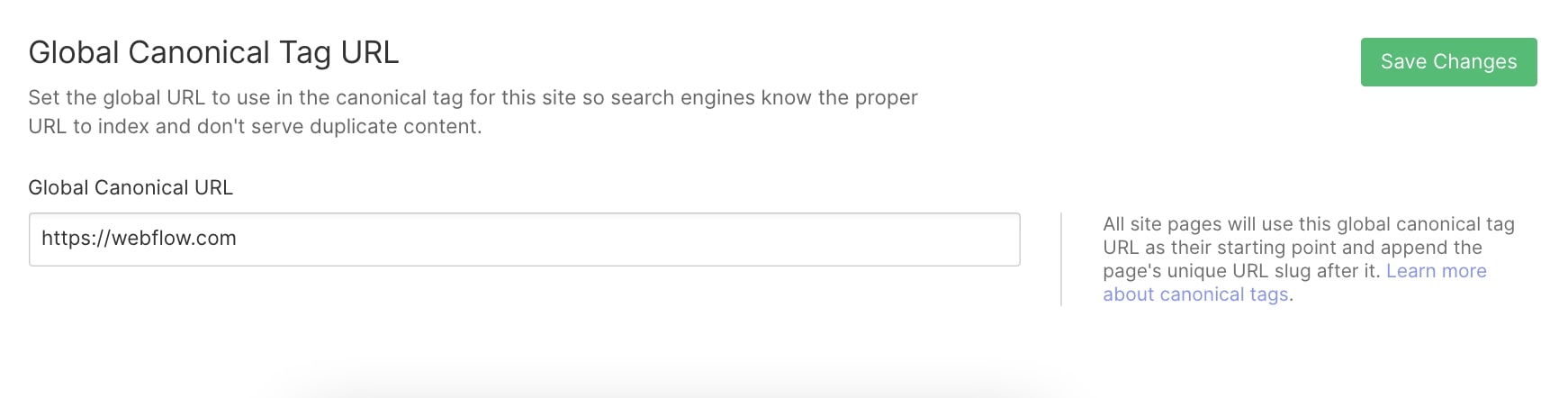 An example of where you can go to the SEO tab in your main project settings and enter your main domain.