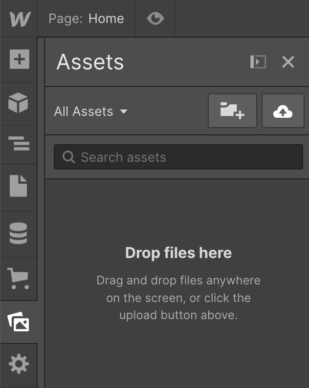 Screenshot of the Assets panel in the Webflow Designer