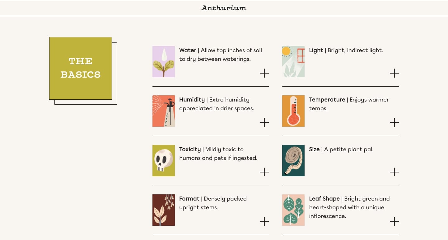 An example of the plant care tips How Many Plants gives viewers.