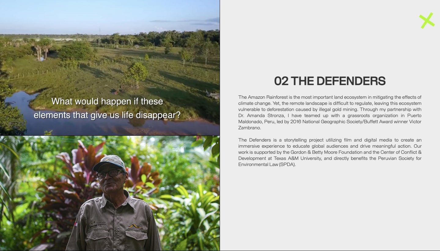 A section on Sarah Lupton's website highlighting her documentary "The Defenders"