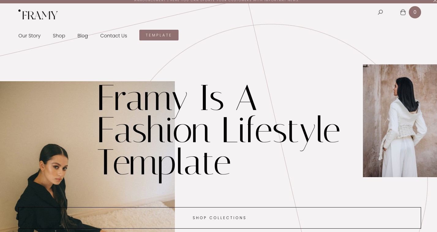 The Framy website home page.