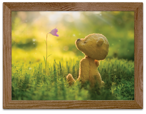 Little Otto Wall art sniffing a flower