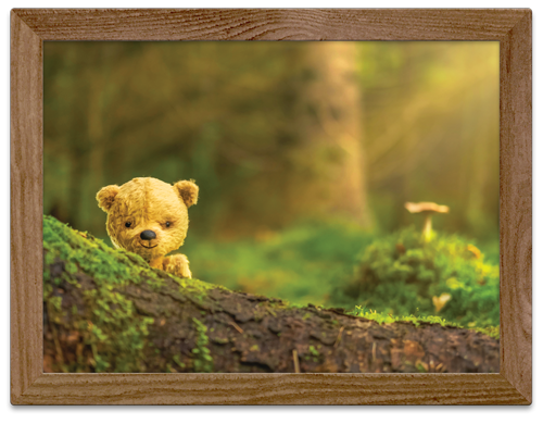 Little Otto Wall art peeking behind A root