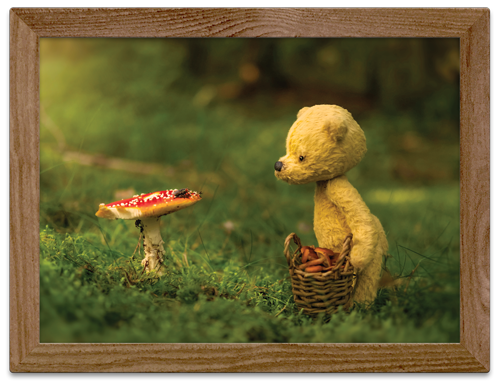 Little Otto Wall art looking at mushroom