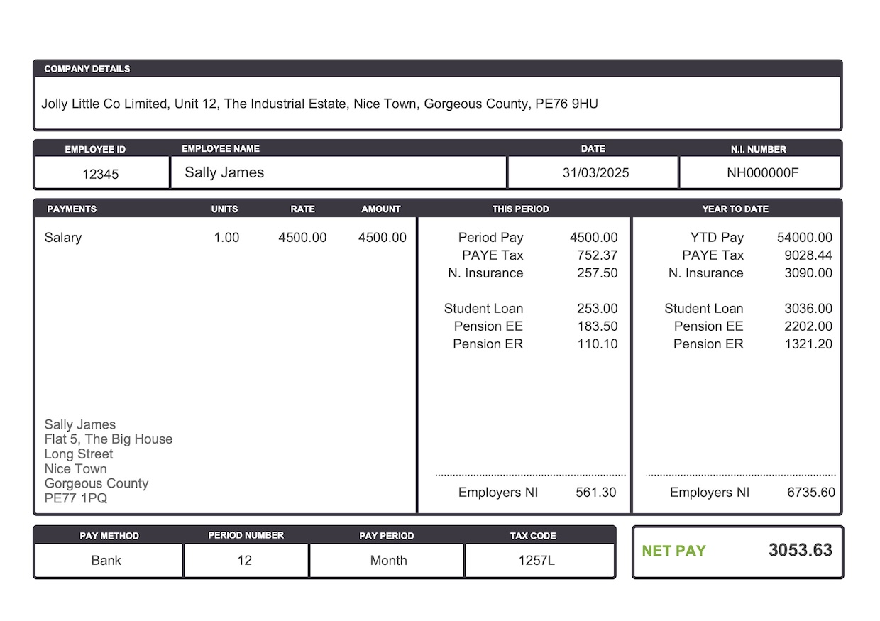 Payslip Sample Document
