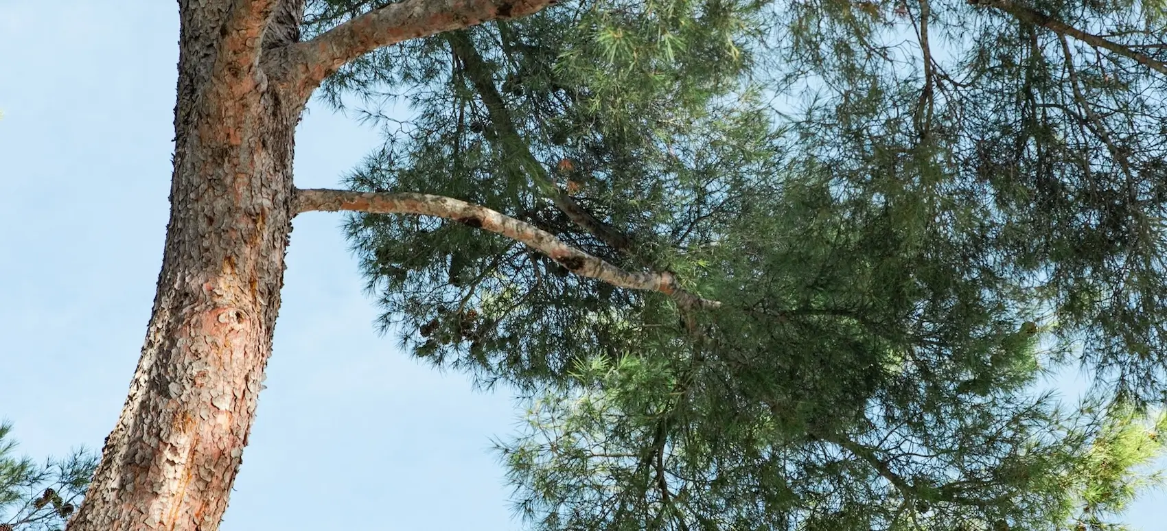 Nature provençale au Domaine GAO
