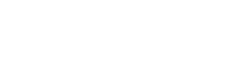 Silverfox logo