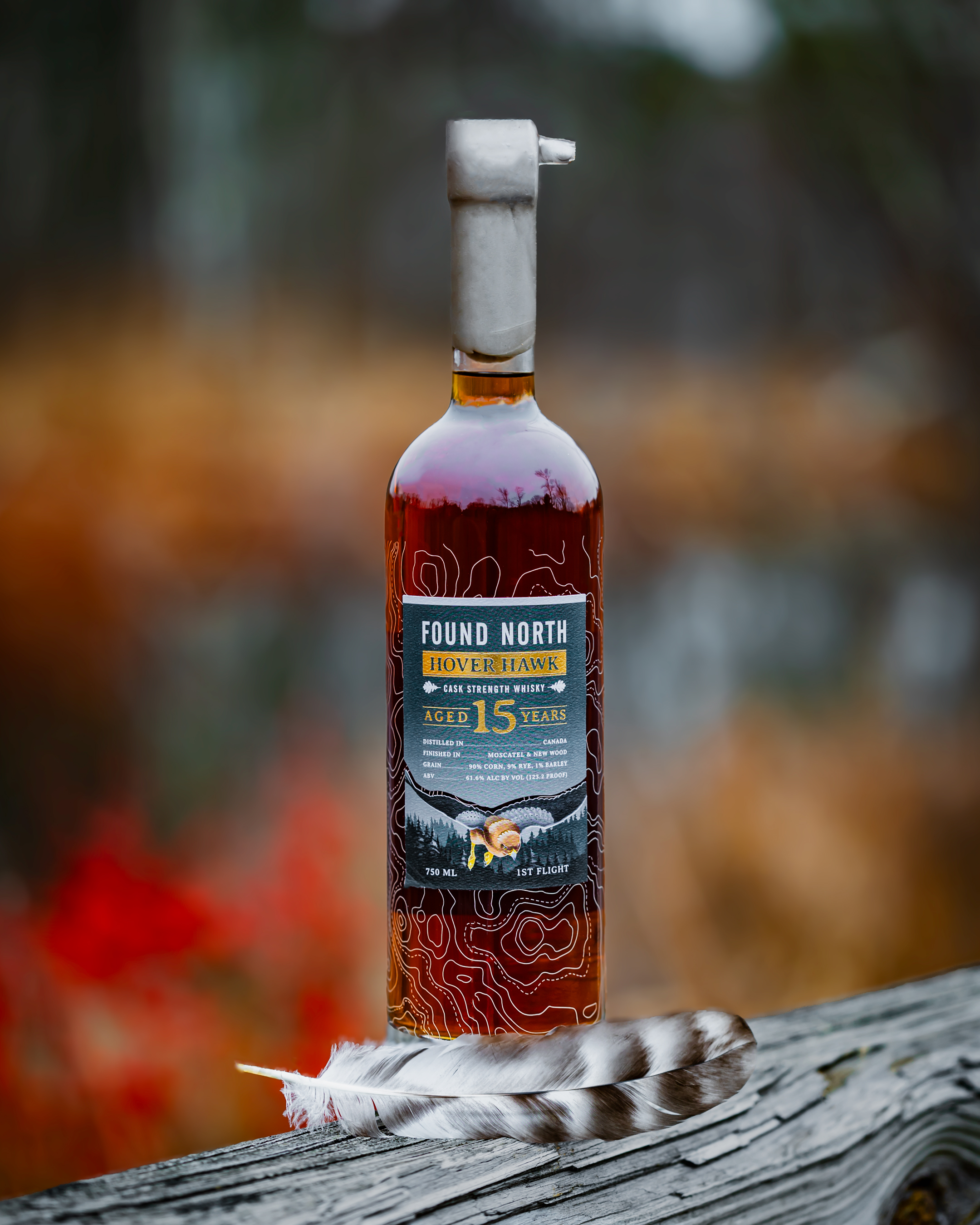 Hover Hawk First Flight