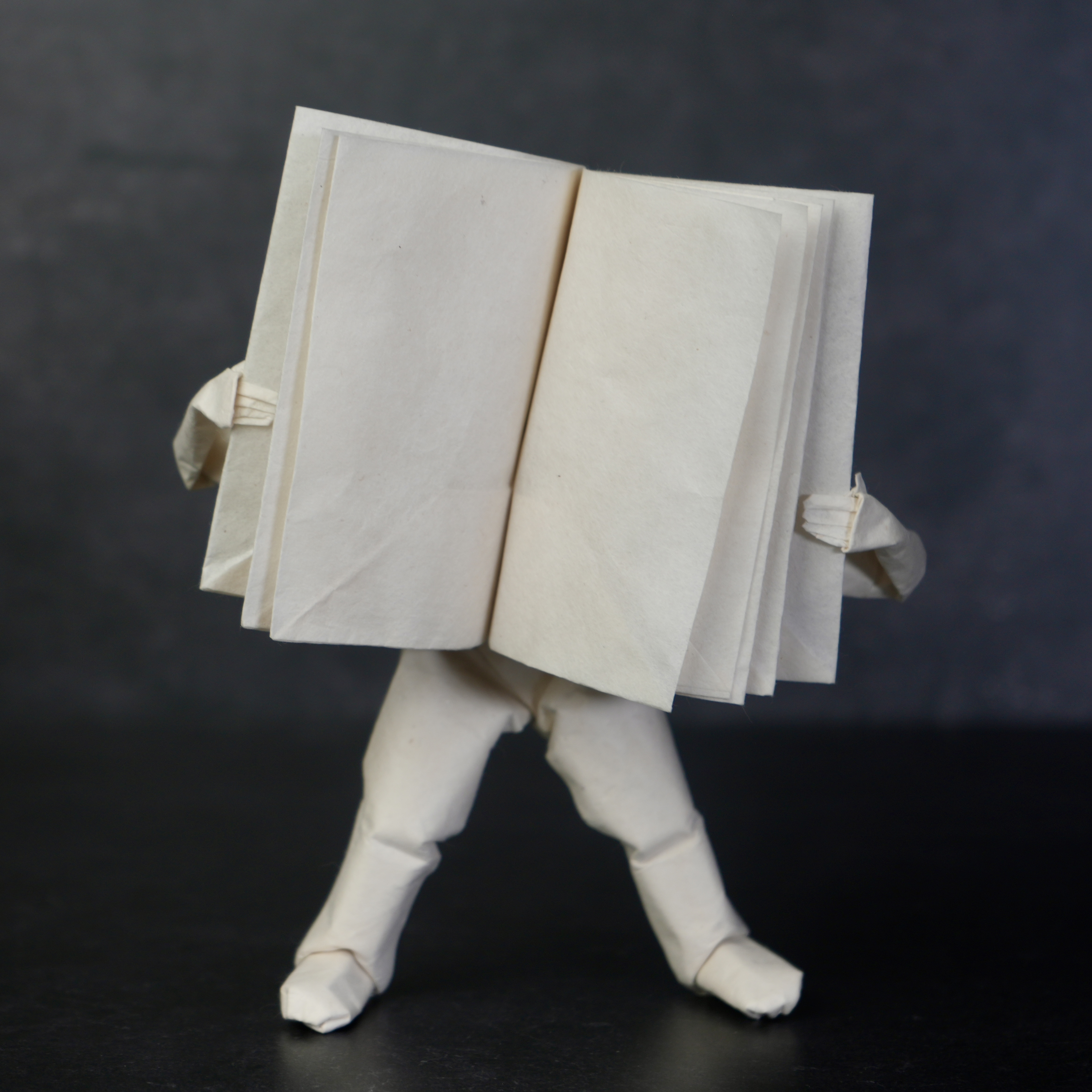 Detailed origami blueprint showing fold lines and crease structure