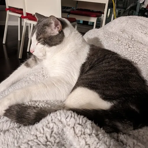 メンバー紹介アイコン