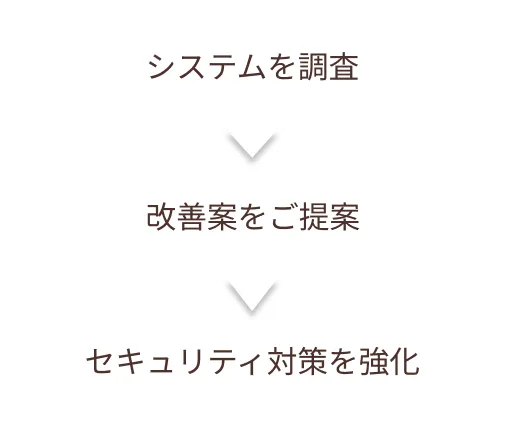 Conoris 脆弱性診断フロー