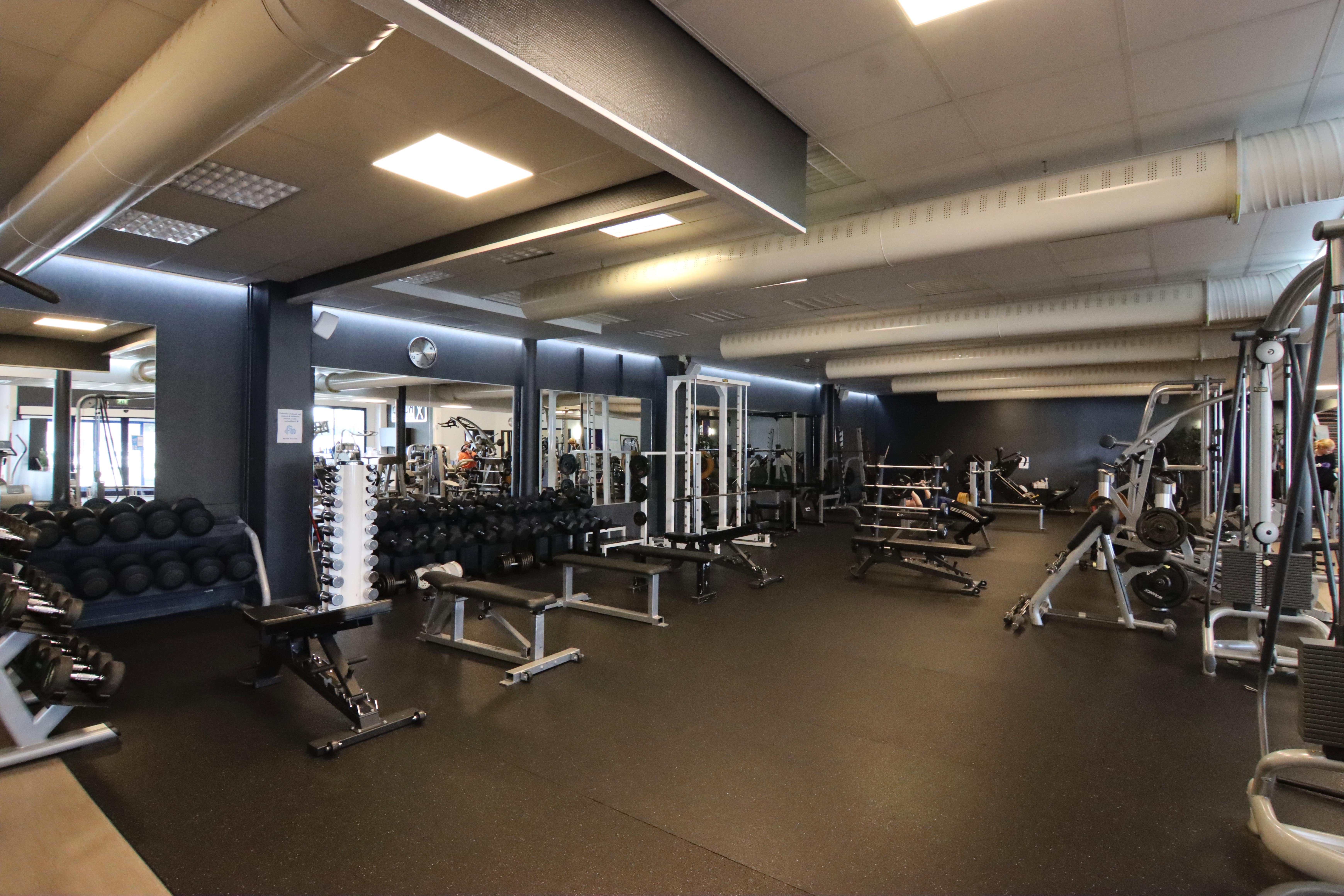 Discover the intricate patterns found in nature, beautifully captured by Seppälä Kuva.