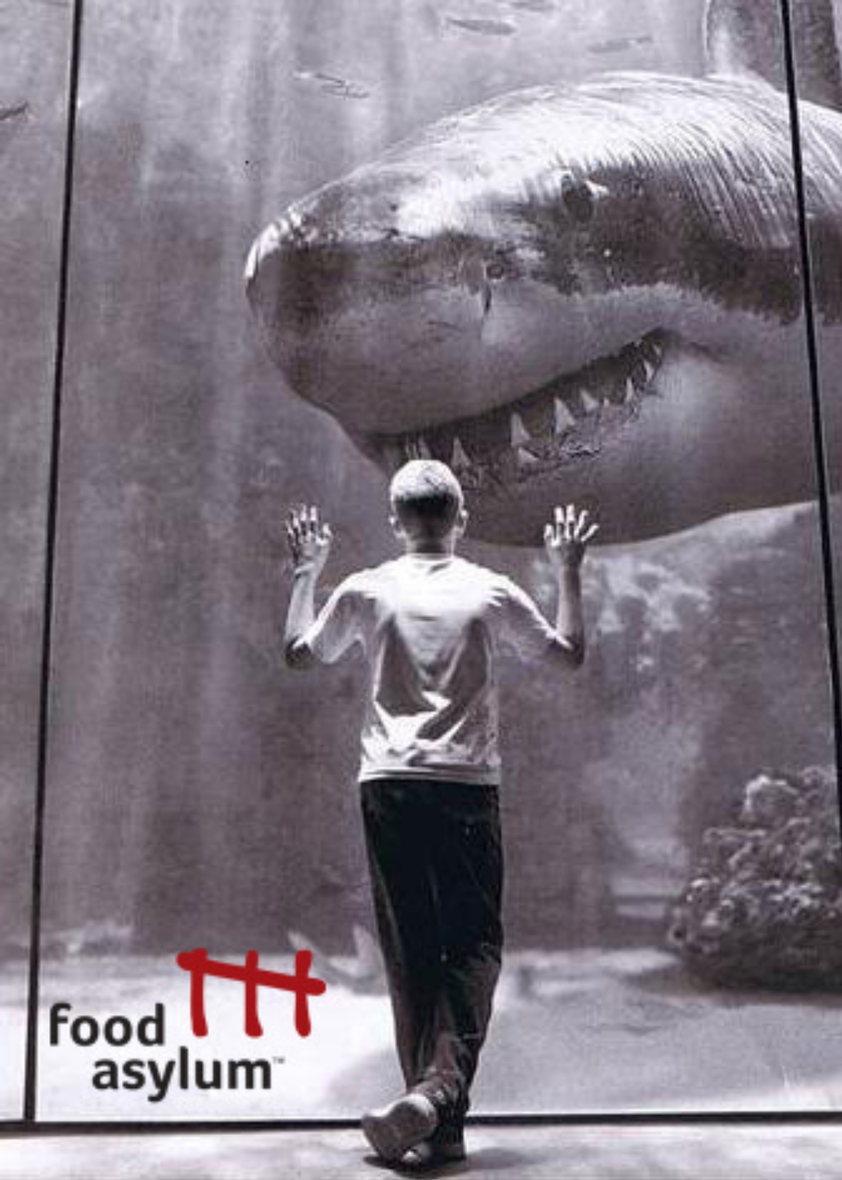 Food Asylum Campaign