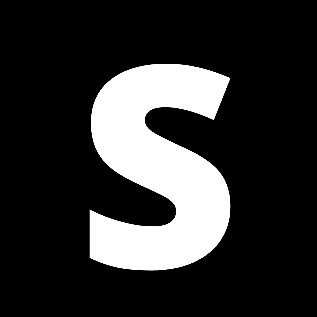 Section Store logo